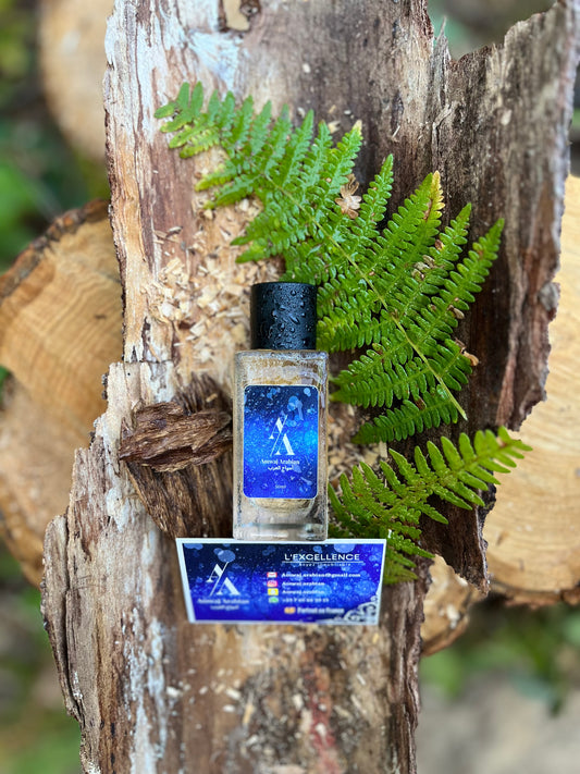 Oud Boisé