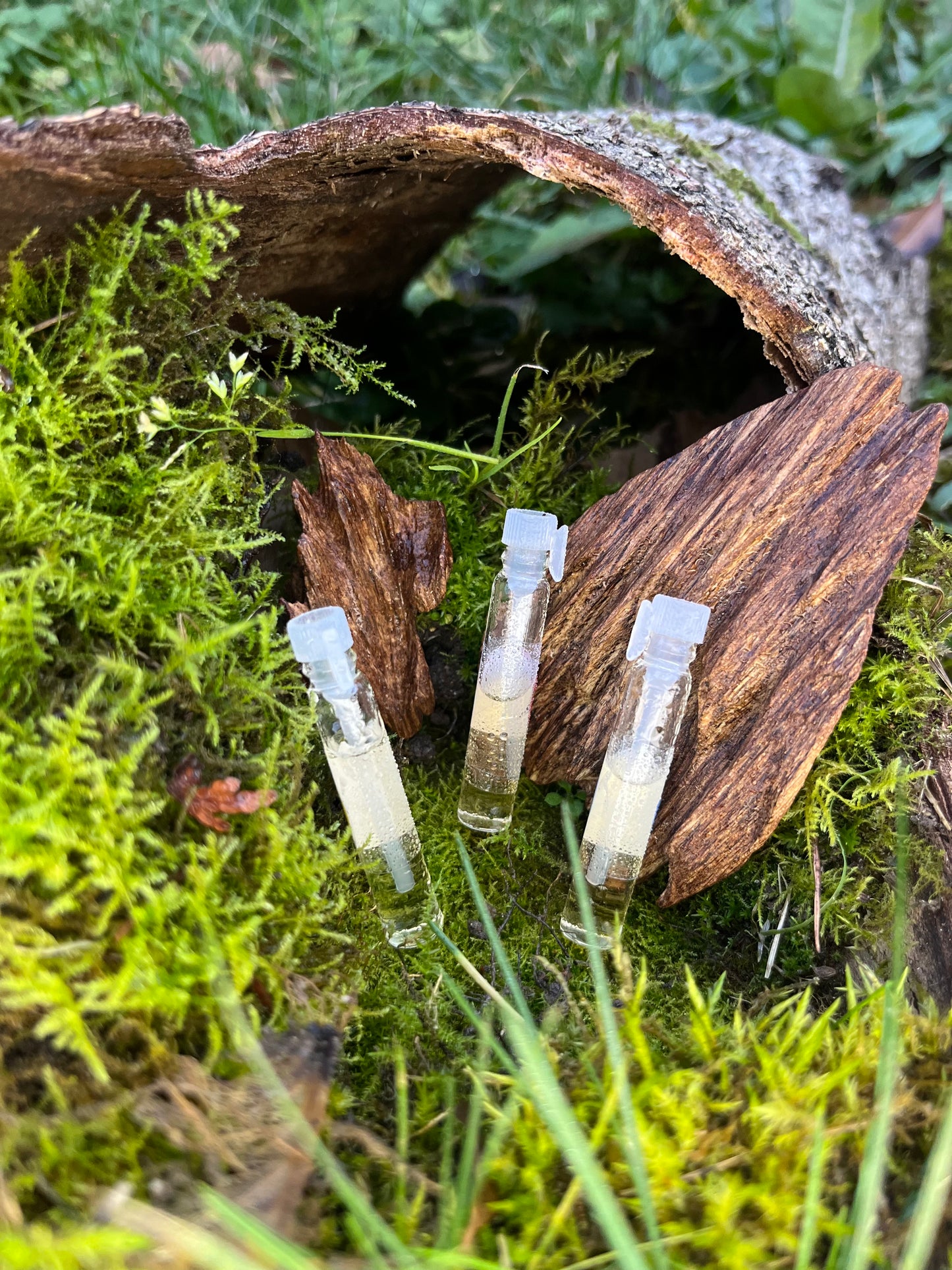 Échantillons ( Testeur )