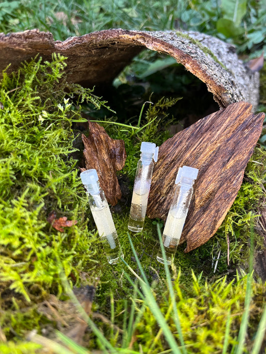Échantillons ( Testeur )